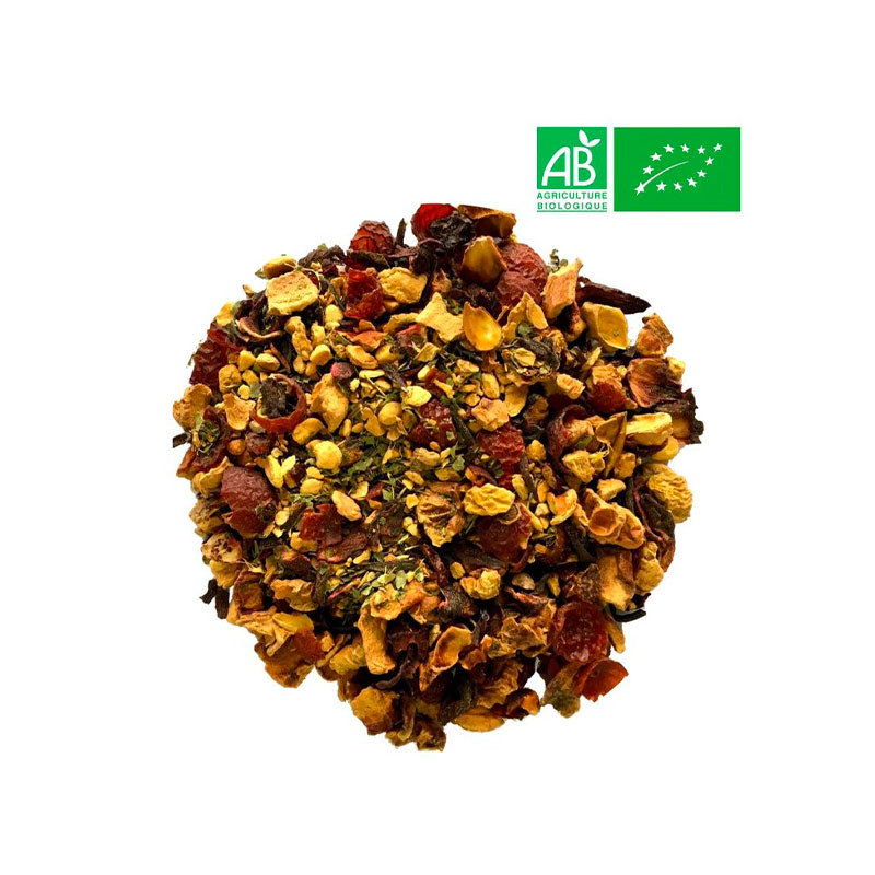 Infusion citron gingembre bio