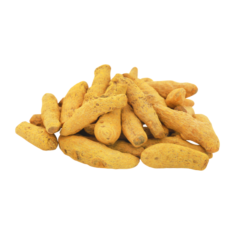 Curcuma séché entier